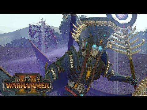 UNDEAD OP? - VCoast, Tomb Kings vs Bretonnia, Norsca // Total War: Warhammer II Online Battle