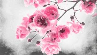 James Galway - Pachelbel's Canon in D Major