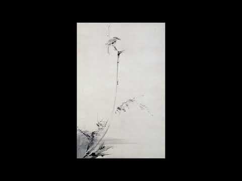 Muso Dreshaj - Buzët E Tua