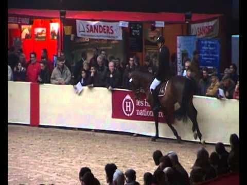 Shouppydam des Horts (Quidam de Revel)