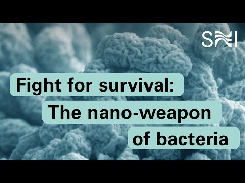 Fight for Survival: The nano-weapon of bacteria