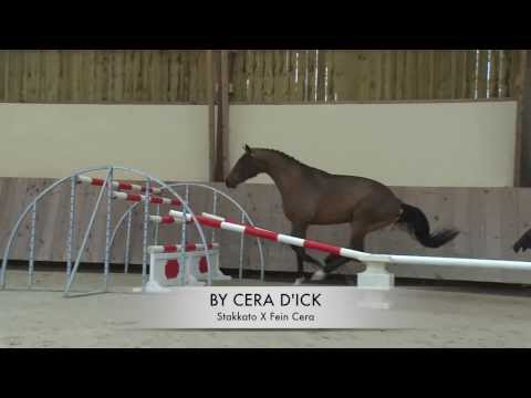 BY CERA D´ICK - father of the embryo