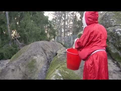 Merry X'mas "Ludo May"