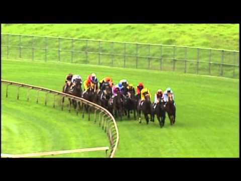 2009 - Vinery Stud Storm Queen Stakes - Purple