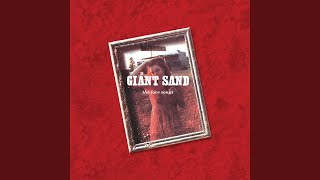 Wearing the Robes of Bible Black