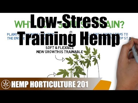 image-How do plants cope with stress?