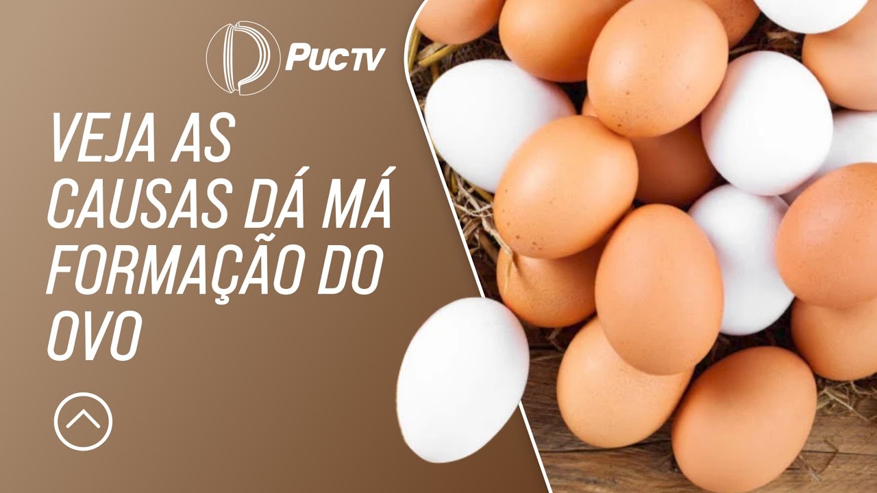 HOJE IREMOS LHE APRESENTAR AS CAUSAS DÁ MÁ FORMAÇÃO DO OVO; ACOMPANHE NA REPORTAGEM