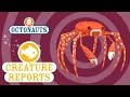 Octonauts Creature Report Spider Crabs