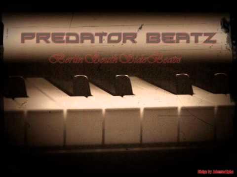 Official Predator Beatz Snippet Vol. 2