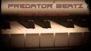 Official Predator Beatz Snippet Vol. 2