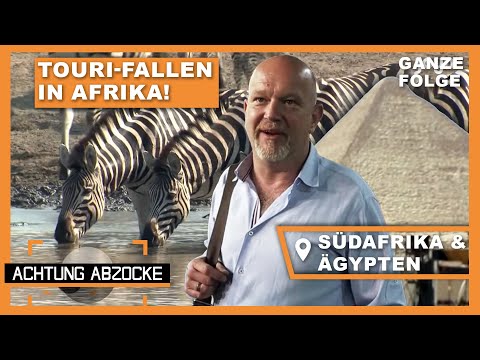 Safari-Lüge und Kamel Betrug!? Die fiesesten Abzocken in Kapstadt & Kairo | Achtung Abzocke