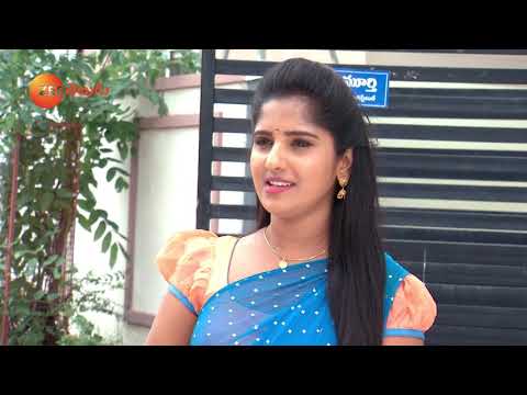 Raktha Sambandham - Telugu Tv Serial - Webisode - 378 - Meghana lokesh,Jyothi reddy - Zee Telugu