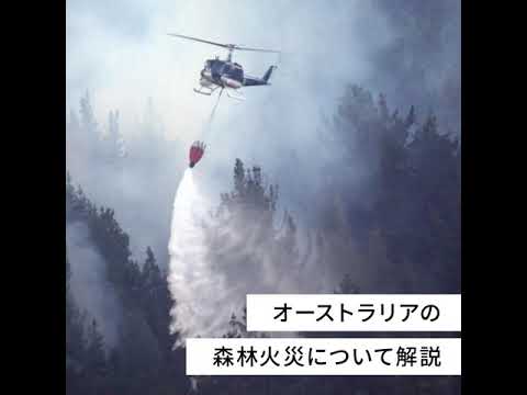 オーストラリアの森林火災は他人事ではない！日本への影響とは