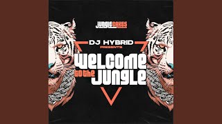 Welcome To The Jungle (Continuous DJ Mix)
