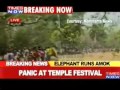 Elephant runs amok, creates panic   Video   The Times of India