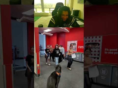 He totally fell for that #animals #funnyshorts #explore