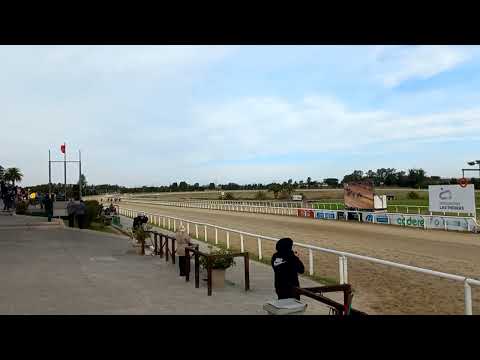 Divina tarde viendo caballos 🐎 . #carreras #hipodromo Las Piedras Canelones