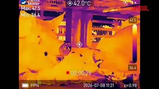 Caldo: animali morti e agonizzanti nei camion con oltre 45 gradi senz’acqua, la denuncia di Esser...