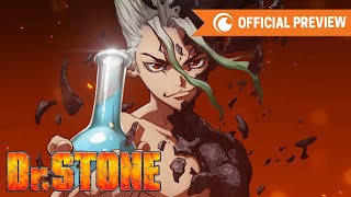 Dr.Stone ( Dr.STONE )