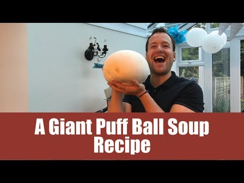 download lagu mp3 mp4 Cream Of Puffball Mushroom Soup, download lagu Cream Of Puffball Mushroom Soup gratis, unduh video klip Cream Of Puffball Mushroom Soup