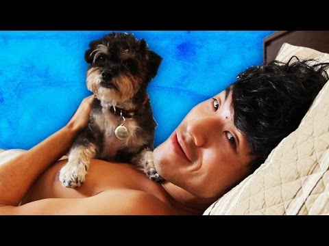 すべての犬の飼い主がする奇妙なこと (Weird Things All Dog Owners Do)