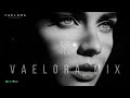 V A E L O R A Mix | Unspoken Truths