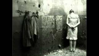 porta-sigo buscando respuestas