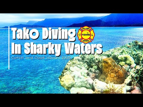 Tako Diving in Sharks Waters in Hawaii 2025. Catch and CookEp177