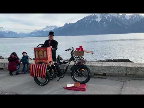 🇨🇭 Wintertime in Vevey