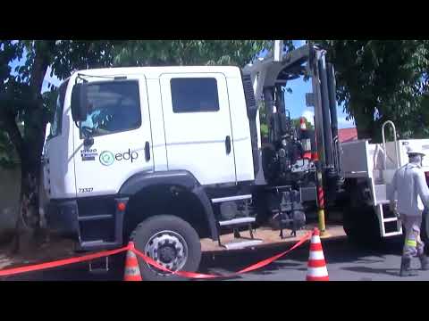 Abelhas são retiradas no bairro Planalto 
