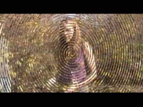 honeysuckle infomercial