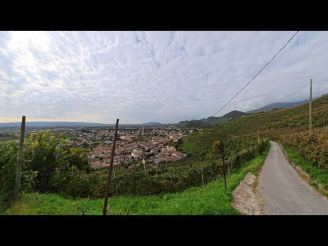 Road Trip through the Prosecco Hills: CastelBrando & Wine Road