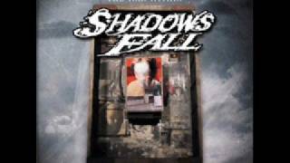 Shadows Fall For Those Who Cannot Speak