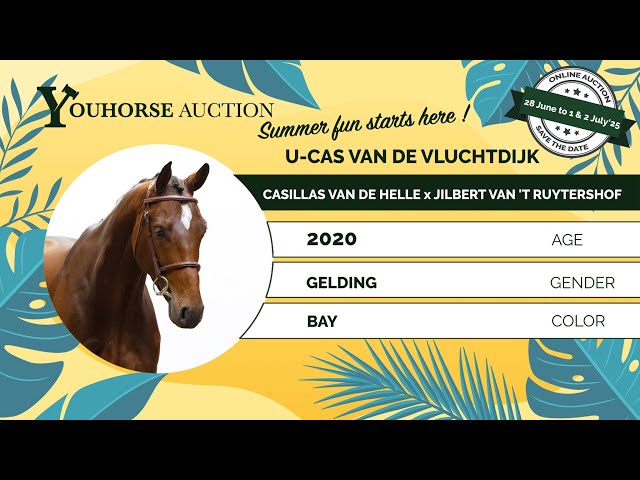 U-Cas van de Vluchtdijk showvideo