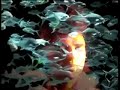 Son Ambulance  - Horizons