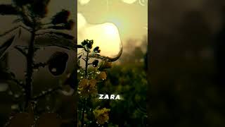 [Zara zara song status]🦋❤️‍🩹🥀#sad_status #broken #shots #love #like #comment #subscribe