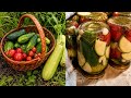 My grandmother makes these pickled vegetables every summer🥒🍅| Cucumbers, Tomatoes & Zucchini