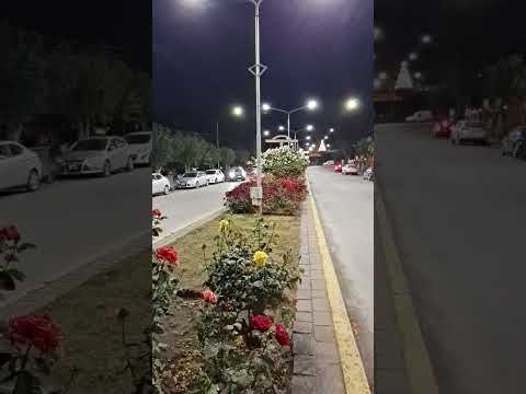 Muchas rosas cubren la avenida de Arrayanes en #villalaangostura #shorts #neuquen #travel #lake