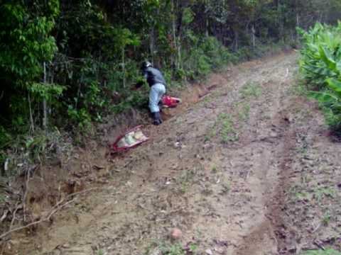 Ananias Pereira   Touro Cafú