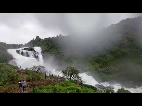 #mallalifalls#coorg #nature #travel #kodagu #falls #trending #travel