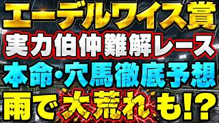 エーデルワイス賞2026徹底予想　雨で大荒れも！？実力伯仲難解レース　本命・穴馬徹底予想