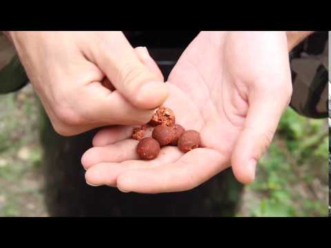 DT Baits || Berry Bubble Boilies