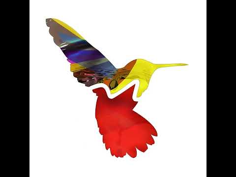 Random Movement Podcast #163