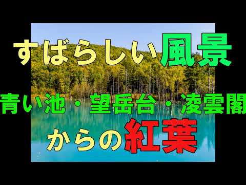 Cenário maravilhoso: folhas de outono de Blue Pond, Bogakudai e Ryounkaku