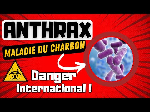 , title : 'ANTHRAX - Maladie du Charbon : DANGER Bactériologique inquiétant !'