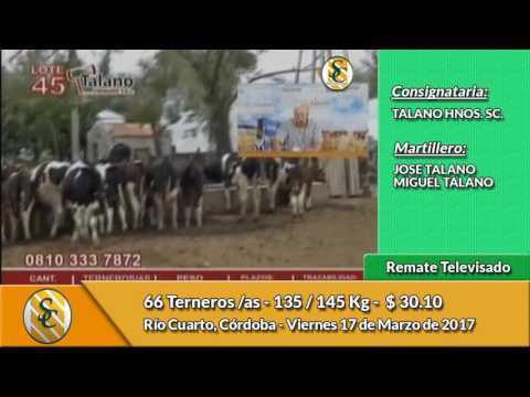 17-03-17 - Ventas del Remate Televisado de Talano Hnos - Río Cuarto