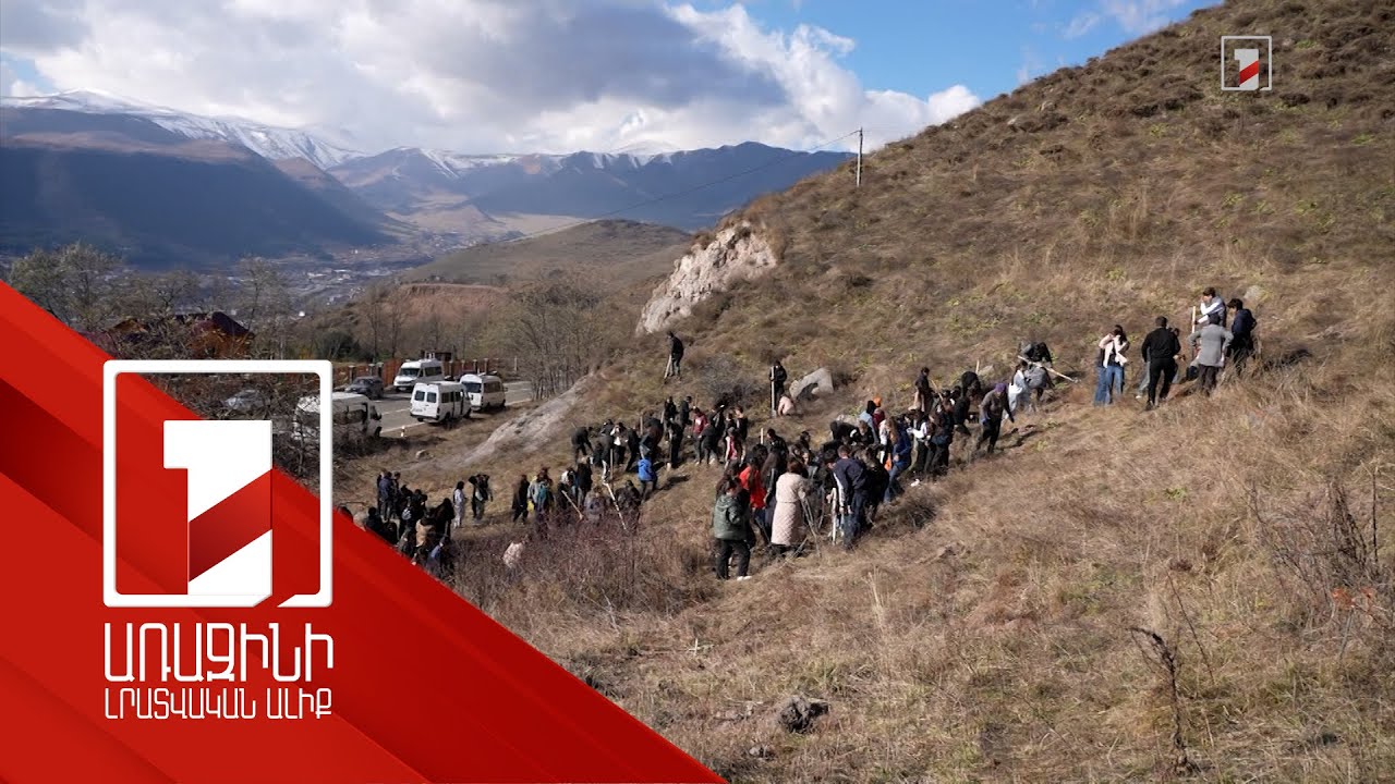 «Իմ քայլը» հիմնադրամի «Հորիզոններ» ծրագրի սաները սովորում են պահպանել անտառը