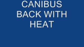 CANIBUS BACK WITH HEAT