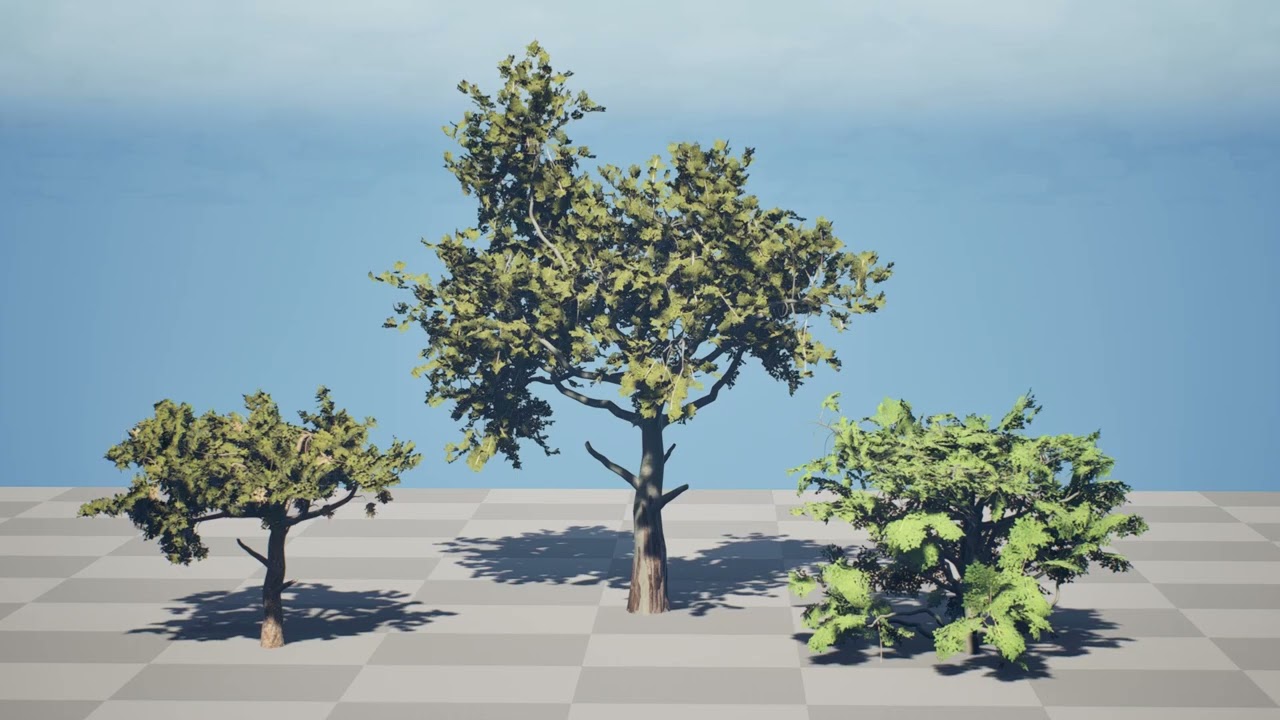 Paquete de &aacute;rbol de carb&oacute;n &aacute;rabe Modelo 3D