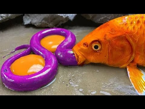 The Goldfish Carp Eel - Amazing Stop Motion ASMR Catching Big Purple Eel Primitive Cooking